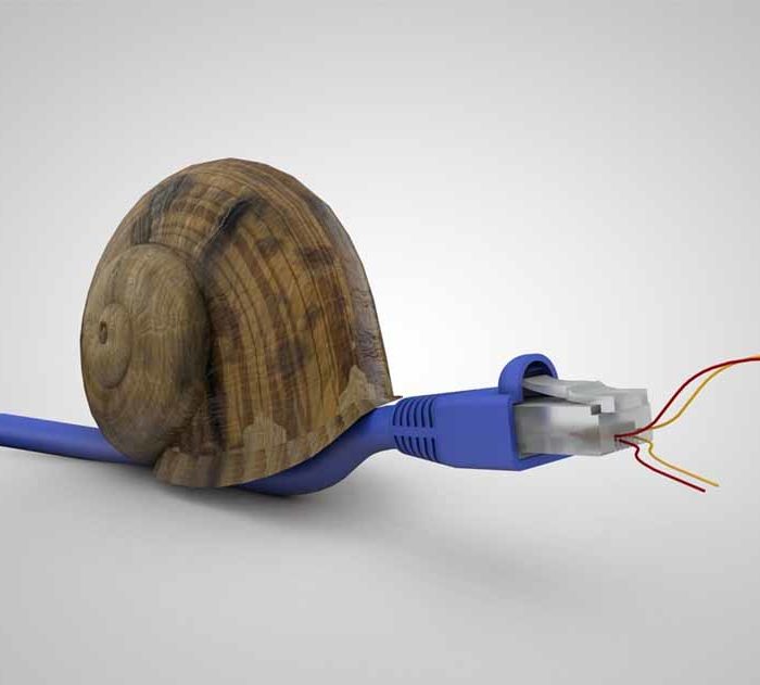 caramujo lesma com cabo de internet